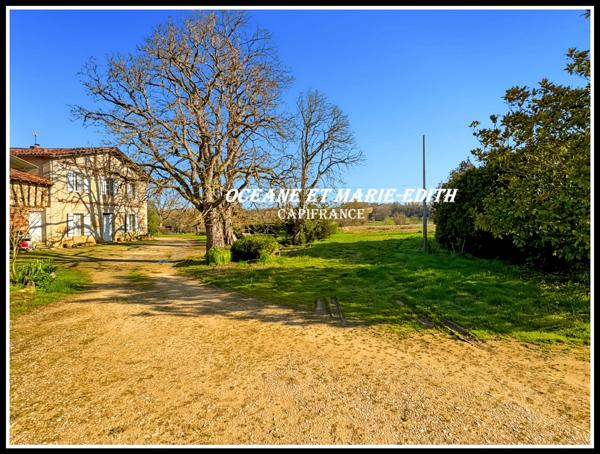 Propriéte agricole secteur EAUZE (32) Maison Gasconne 10 Pièces + Nombreux hangars 2 LACS SANS VIS à VIS