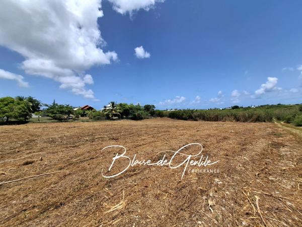 Terrain à vendre vue mer SAINT FRANCOIS (971)