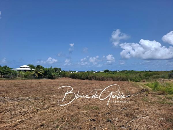 Terrain à vendre vue mer SAINT FRANCOIS (971)