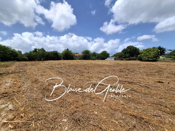 Terrain à vendre vue mer SAINT FRANCOIS (971)