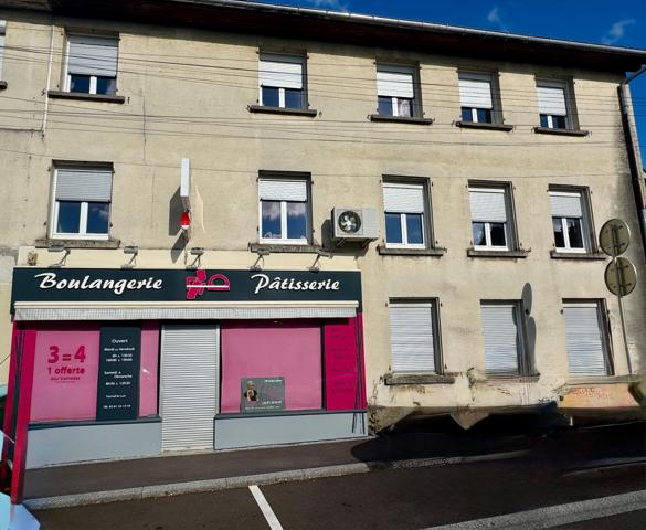 Rare opportunité à Vieux-Charmont : Immeuble mixte composé d'un local commercial de 300 m² + un appartement F6 de 165 m²