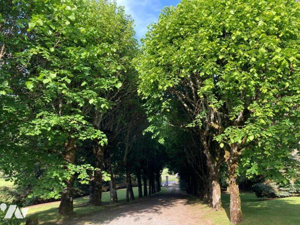 Au c?ur du Parc naturel des Volcans d'Auvergne, cette belle demeure de caractère, à l'abri des ...