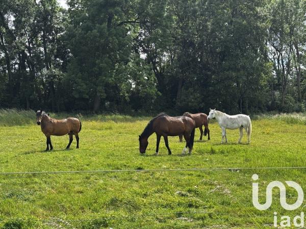 Maison 5 pièces de 150 m² à Santeny (94440)