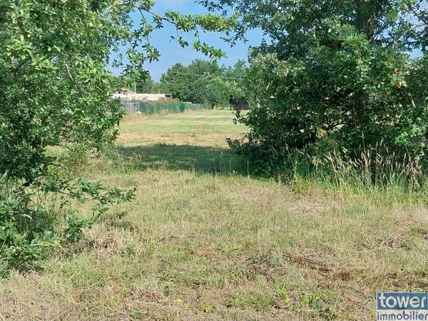 Negrepelisse, terrain viabilisé, relié au tout à l'égout