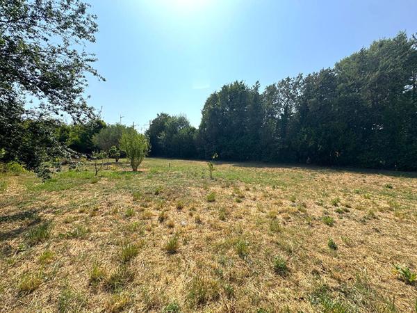 Terrain 905 m2