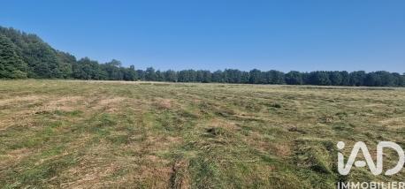 Terrain à vendre 139 996 m² Velles