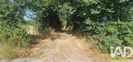 Terrain à vendre 139 996 m² Velles