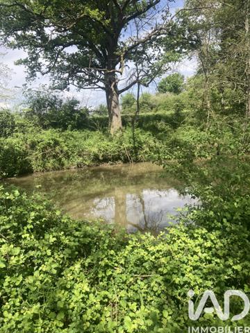 Terrain à vendre 139 996 m² Velles