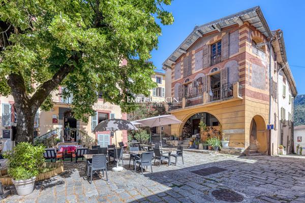 A VENDRE - La Tour sur Tinée - Vaste Maison de Maître - Vue panoramique