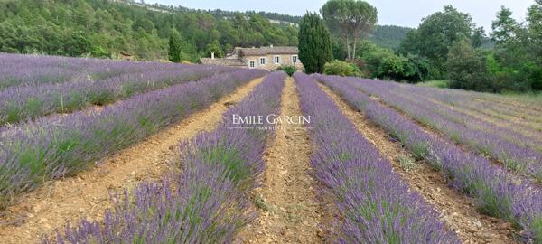 A vendre - Maison de caractère - Entre le Luberon et la Haute Provence - Au sein d'un domaine privé d'exception