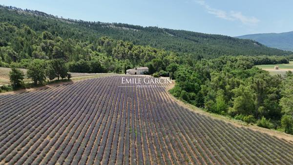 A vendre - Maison de caractère - Entre le Luberon et la Haute Provence - Au sein d'un domaine privé d'exception