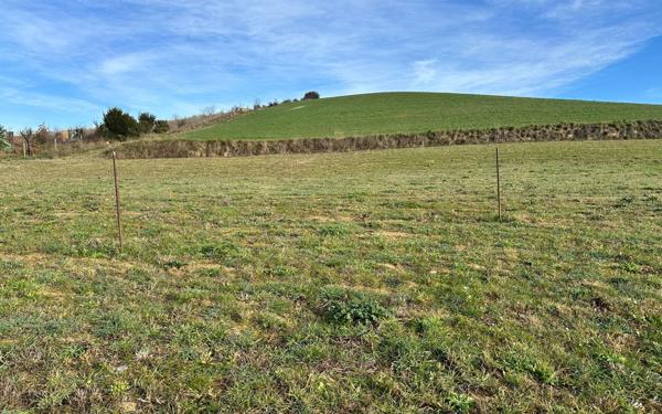 Terrain à vendre    Limoux