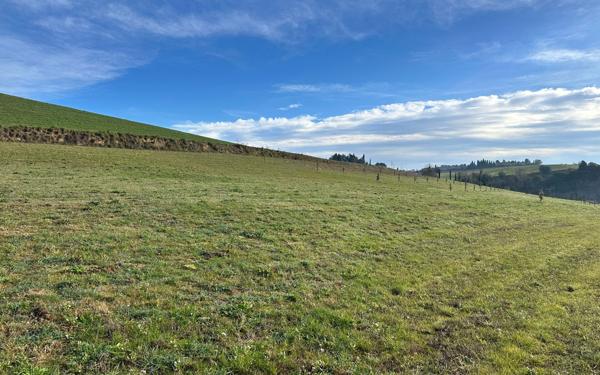 Terrain à vendre    Limoux