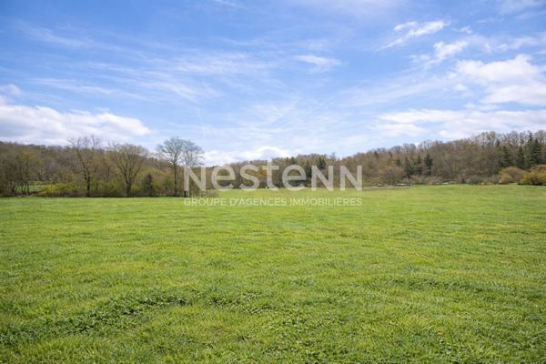 Maison en pierre rénovée avec grand terrain