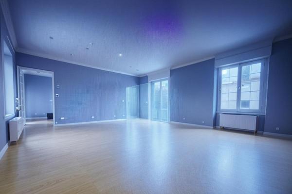 88 RAON L ETAPE - IMMEUBLE MIXTE, COMMERCE ET LOGEMENTS 297 m2