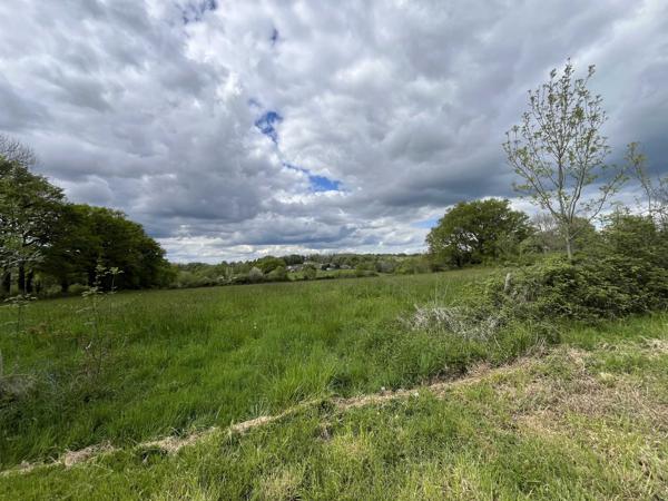 MAISON DE CAMPAGNE AVEC GRANGE ET TERRAIN ATTENANT DE 1 HECTARE 8
