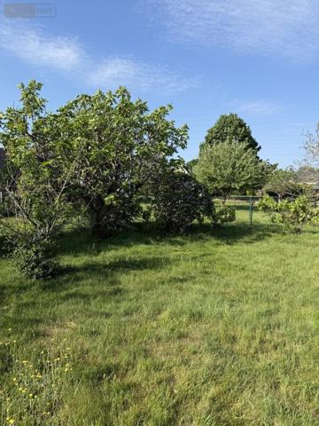 Maison à vendre à Saint-Avé dans le Morbihan (56890), ref : 56002-1532