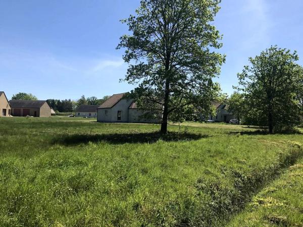 Vente                                                      Maison
                        
                                         130 m2                     à La Ferté-Imbault