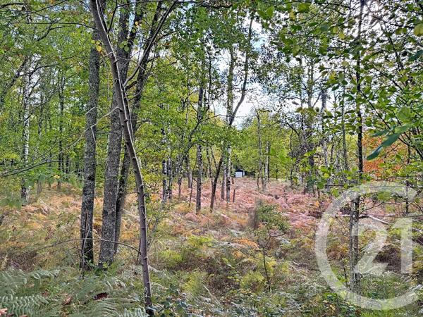 Maison à vendre  7 pièces - 257 m 2   LA FERTE ST AUBIN  - 45