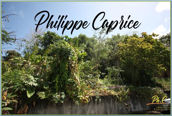 Dpt Martinique (972), à vendre LE FRANCOIS terrain