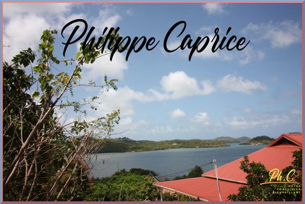 Dpt Martinique (972), à vendre LE FRANCOIS terrain