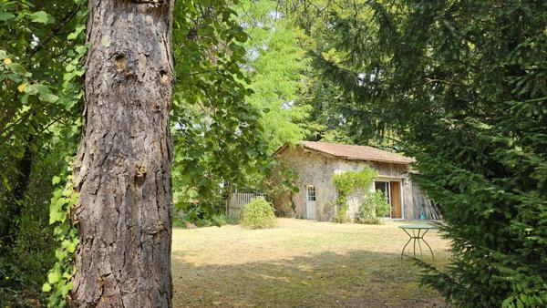 Casteljaloux (47700) Grande maison 5 chambres