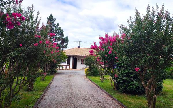 Maison à vendre    4 pièces •  Labatut