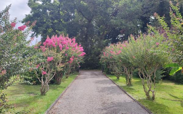 Maison à vendre    4 pièces •  Labatut