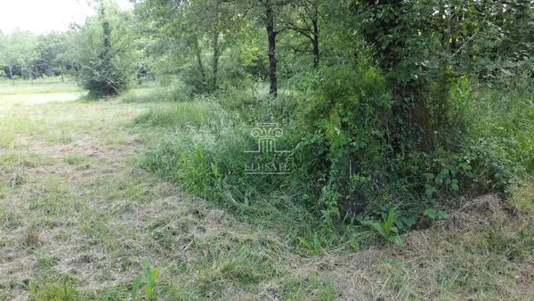 Gondrin (32330) TERRAIN A BATIR 3335M² - EAUZE/CONDOM - ENVIRONNEMENT CALME ET PARCELLE NATURELLE