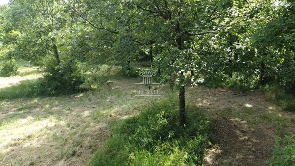 Gondrin (32330) TERRAIN A BATIR 3335M² - EAUZE/CONDOM - ENVIRONNEMENT CALME ET PARCELLE NATURELLE