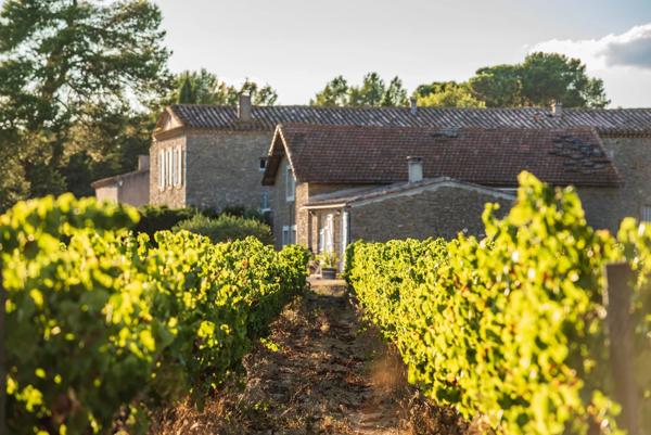Domaine avec maison, gîtes, auberge, parc