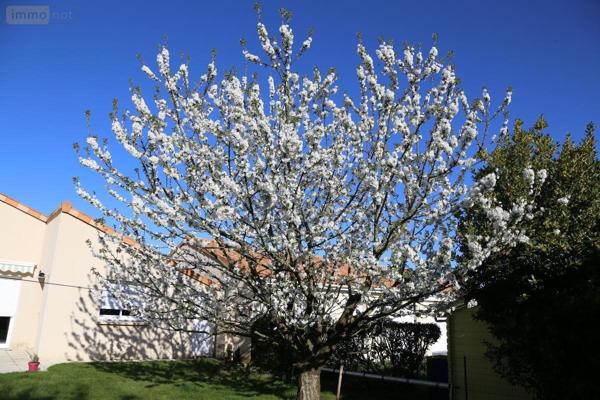 Maison à vendre à La Séguinière dans le Maine-et-Loire (49280), ref : 49055-54