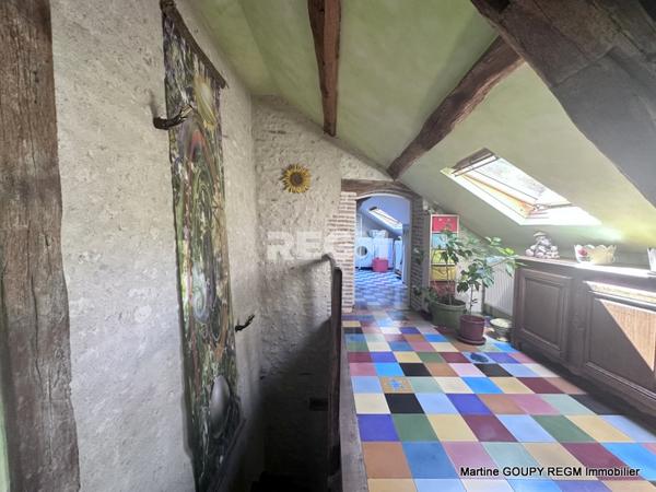 Orléans (45000) ORLEANS (45) – « Le Tilleul » - Cœur de ville - Bâtisse de caractère 290 m², 6 Chbres , bureaux – Jardin