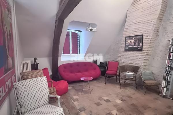 Orléans (45000) ORLEANS (45) – « Le Tilleul » - Cœur de ville - Bâtisse de caractère 290 m², 6 Chbres , bureaux – Jardin