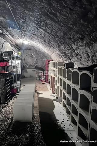 Orléans (45000) ORLEANS (45) – « Le Tilleul » - Cœur de ville - Bâtisse de caractère 290 m², 6 Chbres , bureaux – Jardin