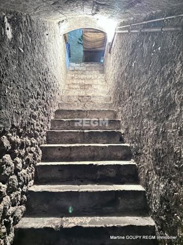 Orléans (45000) ORLEANS (45) – « Le Tilleul » - Cœur de ville - Bâtisse de caractère 290 m², 6 Chbres , bureaux – Jardin