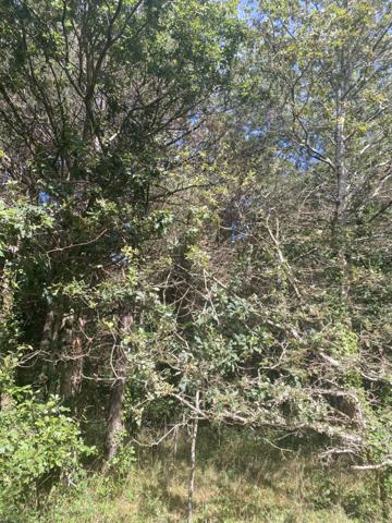 Saint-Gervais (85230) SAINT-GERVAIS - TERRAIN BOISE DE PLUS DE 19 300 M2