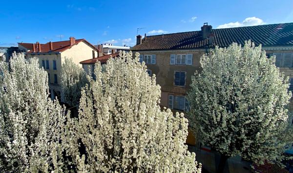 Magnifique appartement ancien 91 m² avec cave et stationnement