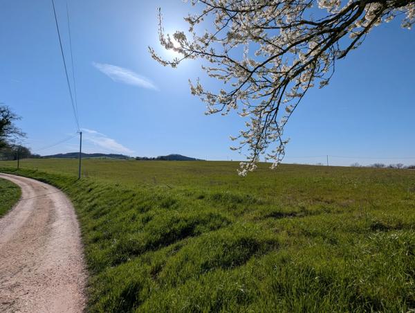 Joli terrain avec CU pour 3 lots à proximité de Monflanquin