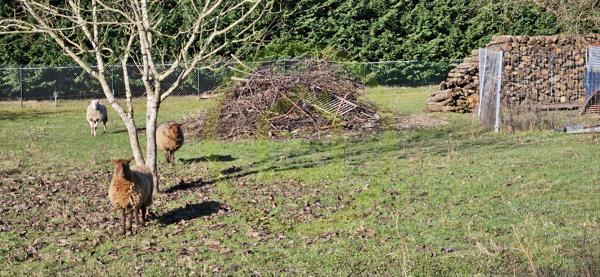 Maison de campagne à PAULNAY (36290)