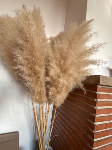 Appartement cosy entièrement rénové avec vue dégagée de 95.5 m² au coeur de Saint Rémy