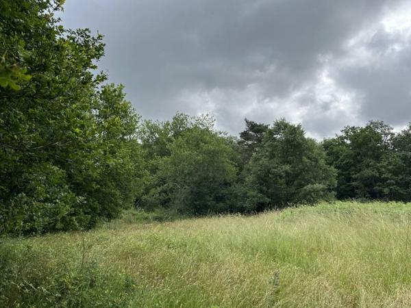 Terrain à vendre |  Saint-Antoine-d'Auberoche |  5159 m²