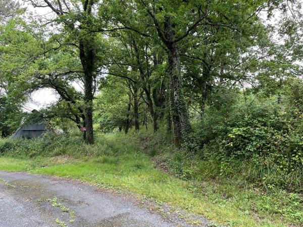 Terrain à vendre |  Saint-Antoine-d'Auberoche |  5159 m²