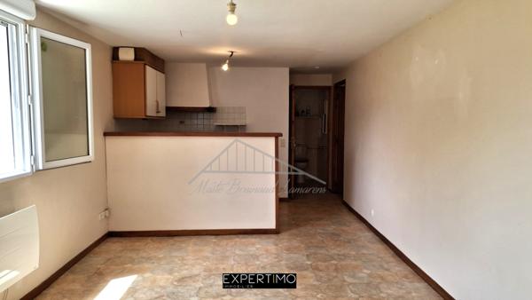 Ustaritz (64480) Grand appartement T2 avec jardin