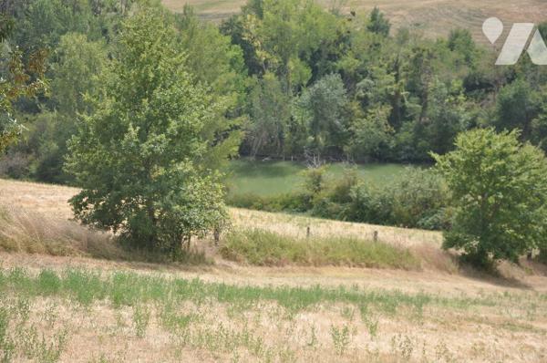 45 mns  TOULOUSE, maison 370m² et piscine sur 34 hectares de terres et bois, étang, 790.000 € CC.