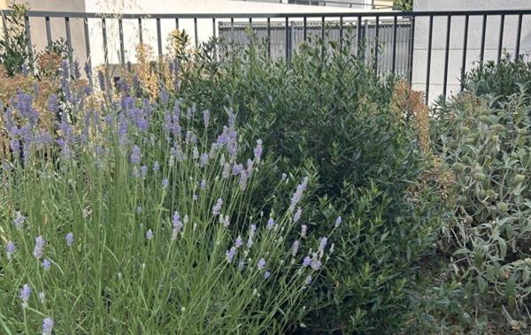 Vente Appartement P3 Marseille 11ème   