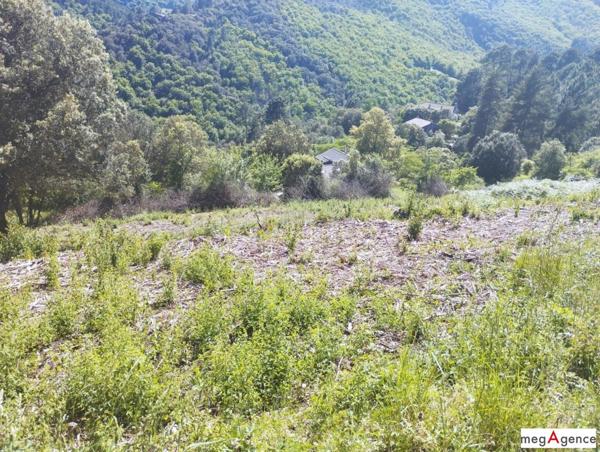 Terrain à SAINTE-CROIX-VALLEE-FRANCAISE, 48110 - 2500m²