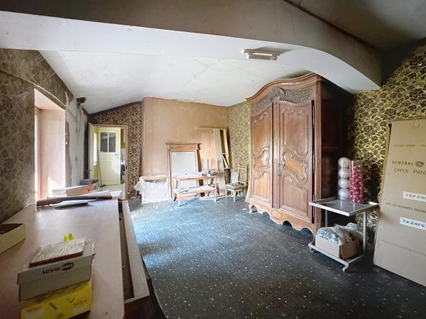 Reyrieux (01600) RARETÉ À REYRIEUX – DOMAINE D’EXCEPTION À RÉNOVER AU CŒUR DU VILLAGE