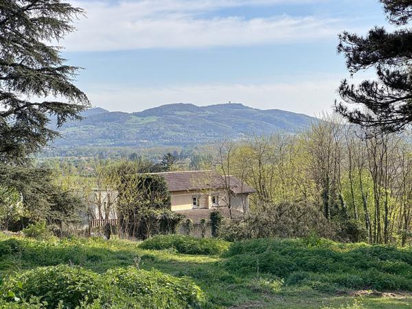 Reyrieux (01600) RARETÉ À REYRIEUX – DOMAINE D’EXCEPTION À RÉNOVER AU CŒUR DU VILLAGE