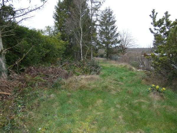 TERRAIN CONSTRUTIBLE DE 1743 M2